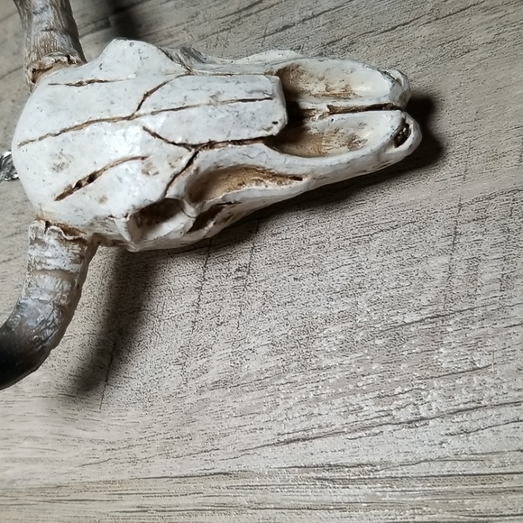Steer Skull / Long Horn Skull Ornament - Picture 4 of 5